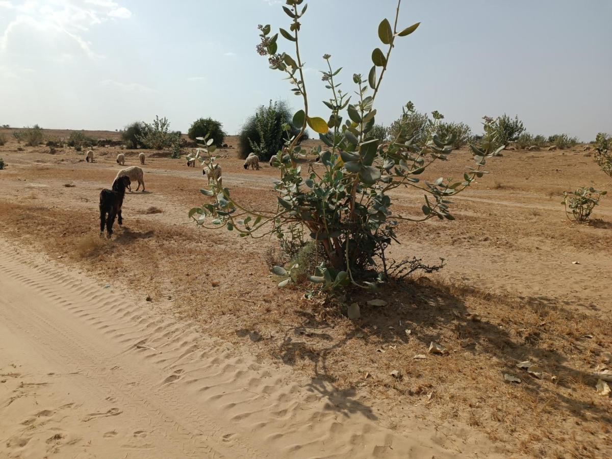 Hotel Relax Inn Jaisalmer Eksteriør bilde
